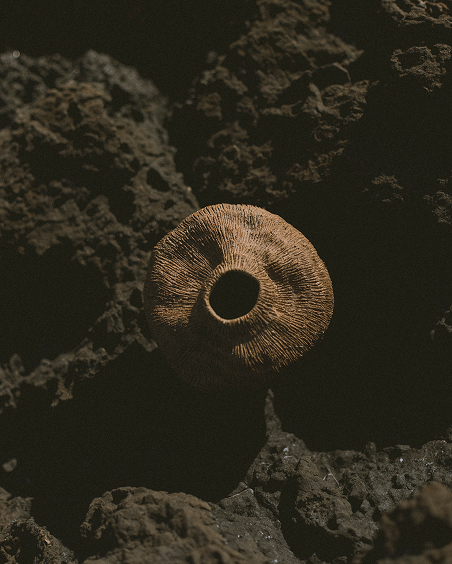 434576513_3768491400088742_7377578225903844266_n (3)