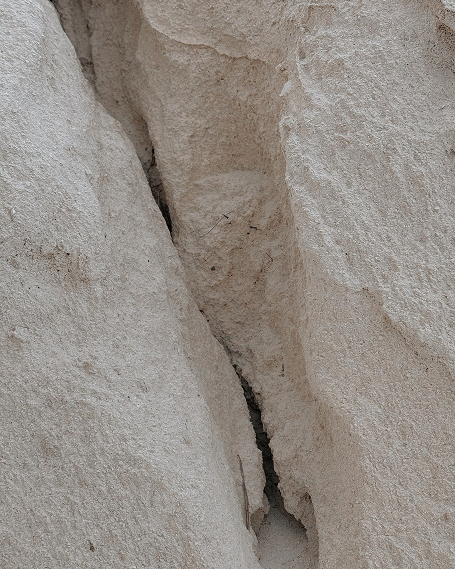 434576513_3768491400088742_7377578225903844266_n (4)