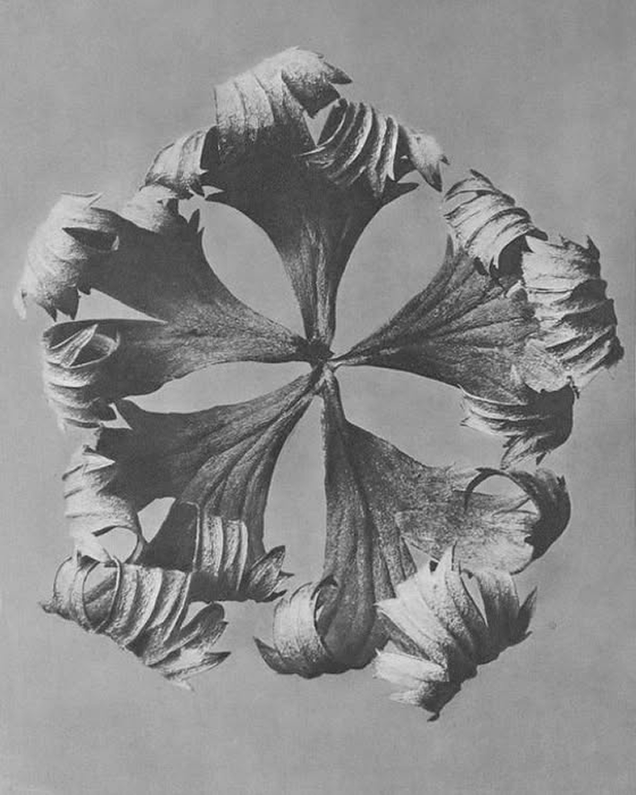 434576513_3768491400088742_7377578225903844266_n (5)